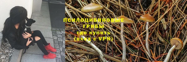 ALPHA PVP Алексин