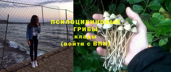 ALPHA PVP Алексин