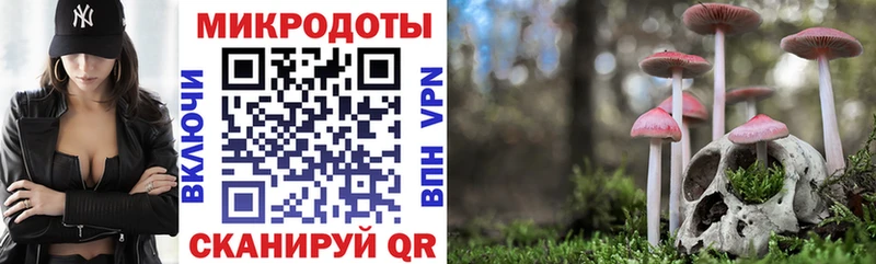 сайты даркнета Telegram  Кемерово  Псилоцибиновые грибы Psilocybe  даркнет сайт 